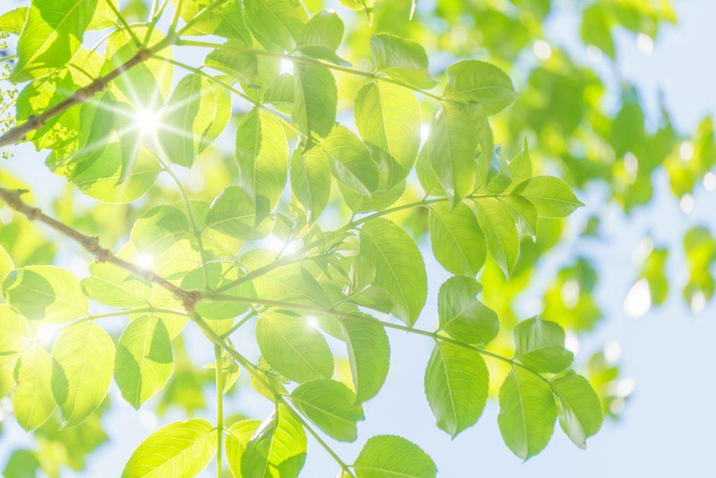 暮らしのカテゴリー一覧 - 暮らしのテクノ　きっとあなたらしいライフスタイルがきっとみつかる暮らしのテクノで！今話題のオンライン通販情報サイト『暮らしのテクノ』色々なお店が出店しているので楽しい、うれしい、探す楽しみも！#暮らしのテクノ#ブランド#ショッピング#旅行#仕事探し#オンライン#通販#ブラント#人気